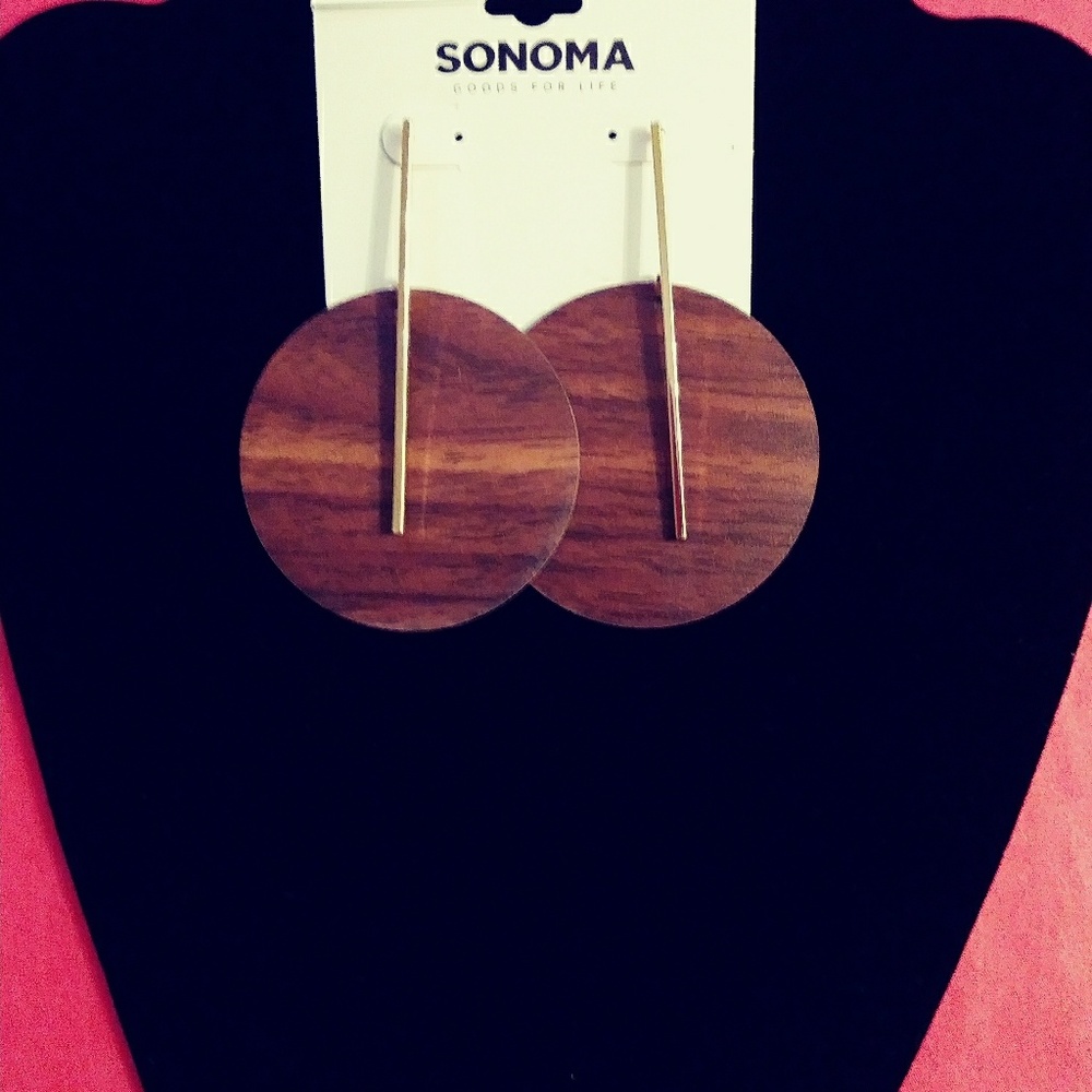 Sharp Brown Earrings with Gold Accents.